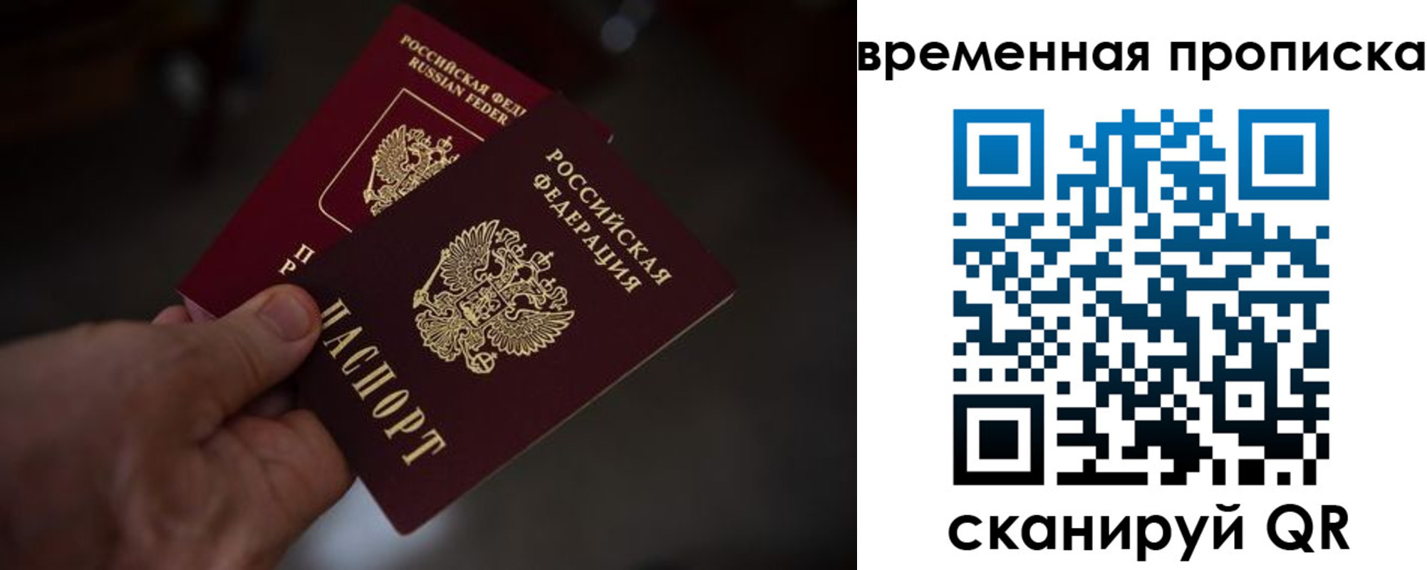 прописка в Чудово
